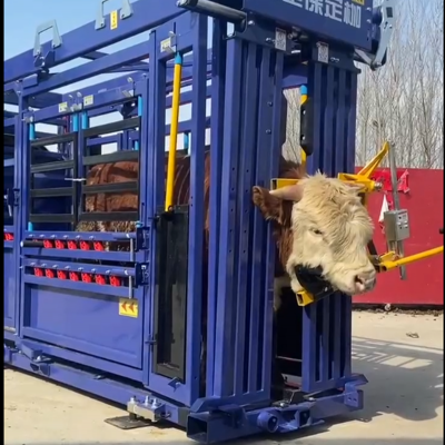 Customized Design Galvanized Steel Heave Duty Cattle Crush With Weighing Scale System photo-4