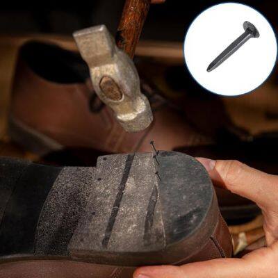 Blue Shoe Nails for Quick and Secure Heel Replacements photo-4