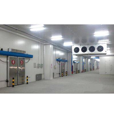 Solar-Powered Freshening Cold Room with Flower Warehouse Emerson Compressor Container Feature
