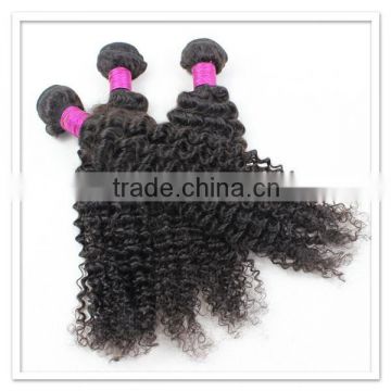 High quality quick shipping 24 inch human braiding hair