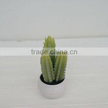 High imitation artificial plants PE foam cactus whloesale