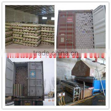 China Factory Green Color 1/2 Inch Vinyl Coated Welded Wire Mesh photo-4