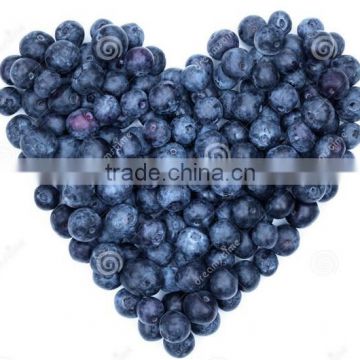 automatic fruit sorting machine,blueberry sorting machine,blueberry sorter