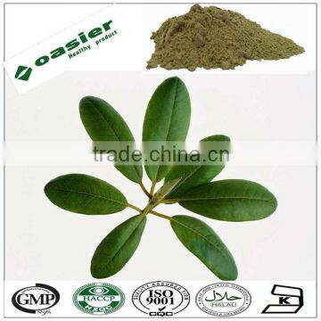 Direct manufacturer supply natural ursolic acid powder