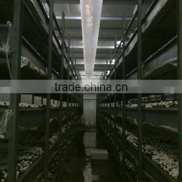Mushroom Cultivating Net/NET BELT/CULTIVAION CLOTH photo-5