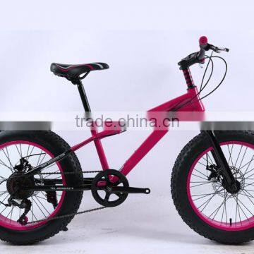 20 inch Snow bike 20 inch fat bike single speeds