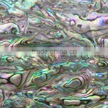 Natural balone paua shell paper shell sheet shell laminate