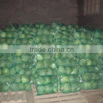 VIETNAM FRESH CABBAGE photo-2