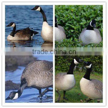 2015 Full body OME plastic goose hunting deocys canada goose China