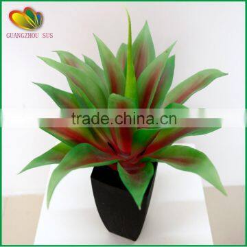 Mini Yucca Plant Bonsai Tree for Home Decoration photo-2