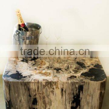 Solid coffee table from petrified wood