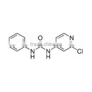 Forchlorfenuron (KT-30) /CPPU plant growth regulator