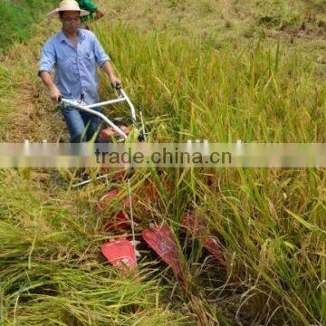 rice fields machinery for harvesting rice