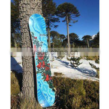 High quality professional wholesale Skate Adult snowboard