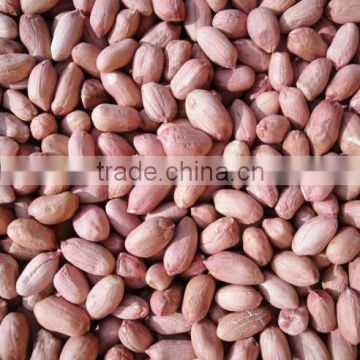 2014 Peanut kernels, Large size Peanut Kernels Luhua type 24/28, 28/32, 34/38, 38/42, 45/55