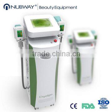 Body Contouring Double Cryo Handles Cryolipolysis Fat Melting Slimming Machine Cryolipolysis Vaccum+cavitation+RF Increasing Muscle Tone