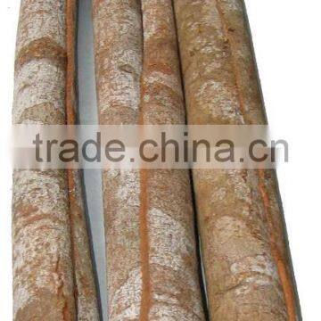 HIGH QUALITY CASSIA TUBE NEW CROP 2015