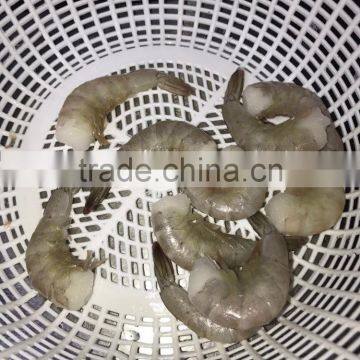 Frozen Vannamei Shrimp Price photo-3