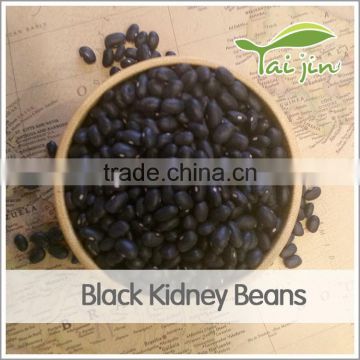 Types of Black Beans, Canned Black Kidney Beans Specification