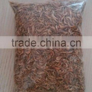 Freezed Dried Shrimp Fish Food