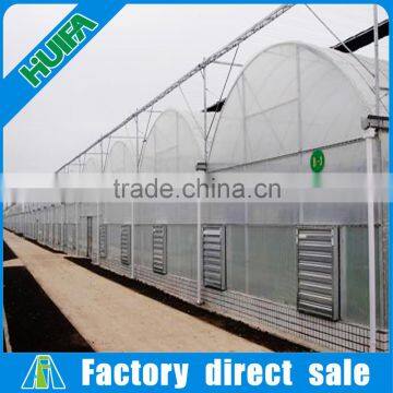 Agriculture Multi Span Plastic Film Greenhouse