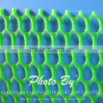Hdpe Plastic Netting photo-2
