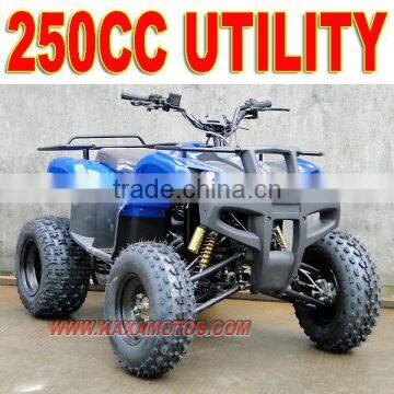 250cc New Force ATV photo-3