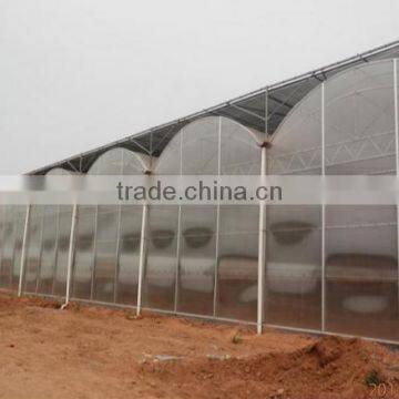 Cheap 30 x 100 Greenhouse photo-2