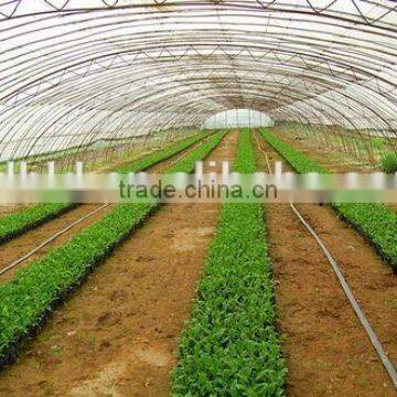 Cheap Tunnel Vegetable Greenhouse With Shading Screen