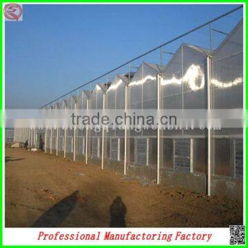 Commercial Steel Frame Venlo Polycarbonate Greenhouses With Irrigation System photo-3