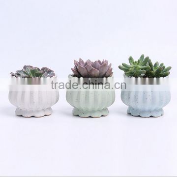 New design succulent plants ceramic indoor planters