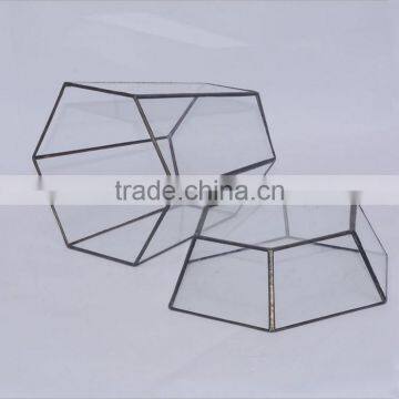 Micro Landscape Geometric Air Plant Succulent Glass Container Vase Pot Terrarium photo-2