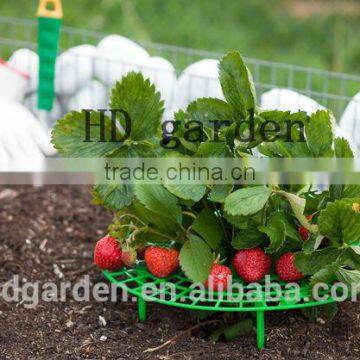 Strawberry Supports - Fruit Clean and Blemish-free photo-2