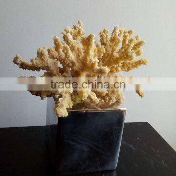 Polyresin Coral Decoration photo-3