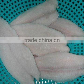 Frozen Pangasius Fillet
