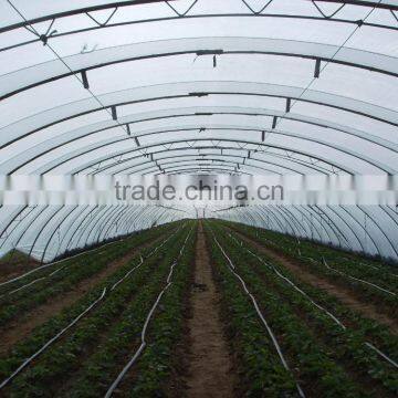 Economical Small Size Single Span Greenhouse for Agriculture photo-3
