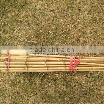 Bamboo Garden Fencing Trellis/bamboo Ladders for Flowers Bamboo Support photo-4