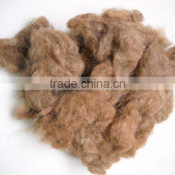 Camel Hair Combings
