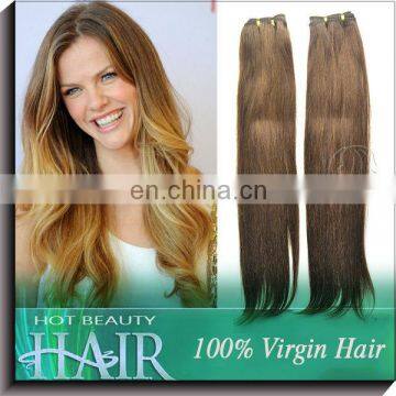 Euro Straight 1 piece 80g Remy Clip in Hair Extension