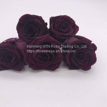 Preserved Rose Flowers for Wedding Decoration Flower Arrangement photo-2
