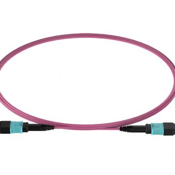 MPO-MPO 12F OM4 Patch Cable