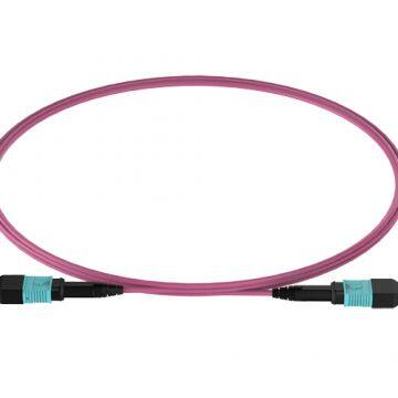 MPO-MPO 12F OM4 Patch Cable
