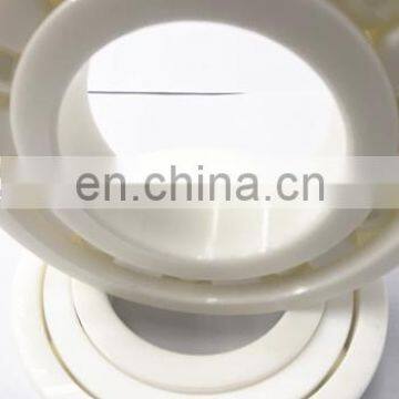 Full Ceramic bearing 6205 6205CE ZrO2 Bearing