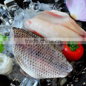 Frozen Tilapia Fish