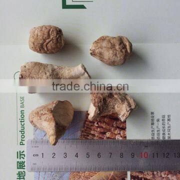 Bulk Dried Mushrooms Stem