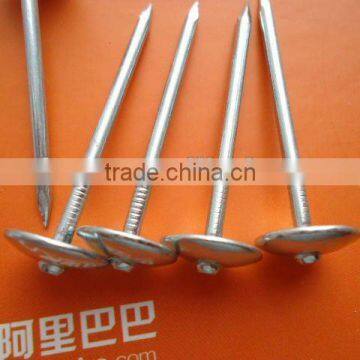 bulk umbrella roofing nail manufacturer