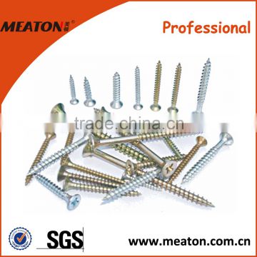 Meaton drywall screw