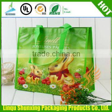 eco shopping bag/non woven bag/gift shopping bag