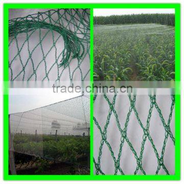 Supply Cheap Price Bird Capture Netting/woven Anti Bird Net/blue Bird Mist Net photo-3