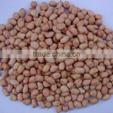 Shandong Peanut Kernels